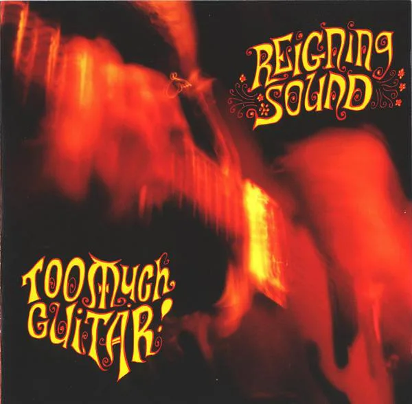 Official album cover art for the release Too Much Guitar by Reigning Sound