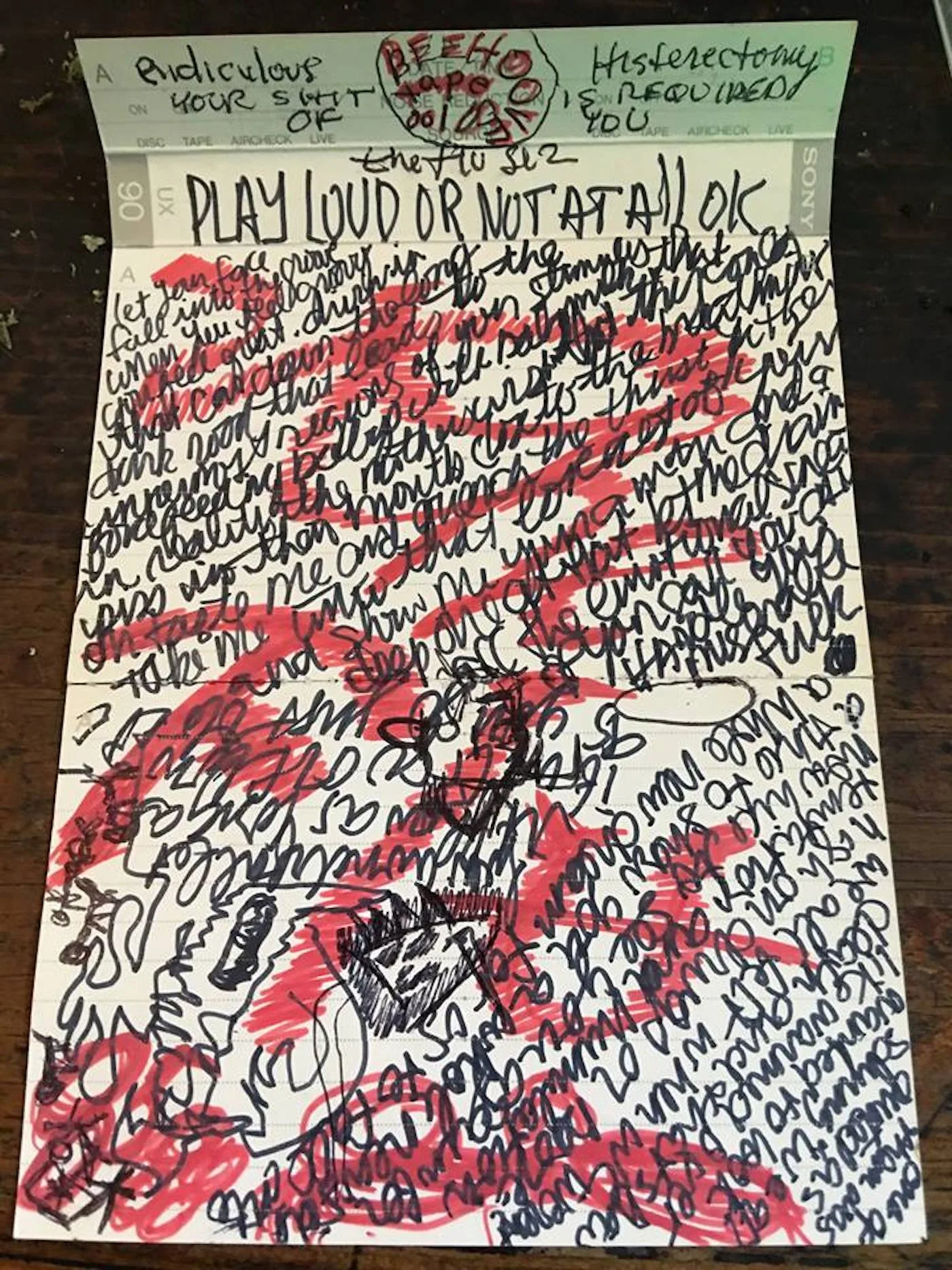 Official album cover art for the release !@#*@ LICK THE FLOOR by Hilt