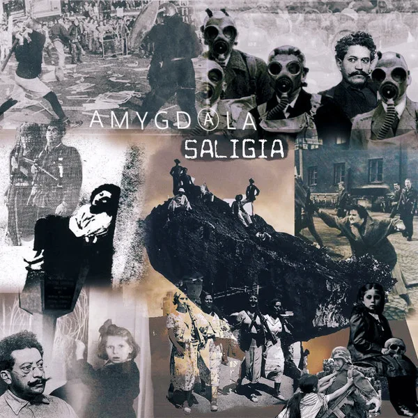 Official album cover art for the release Amygdala / Saligia by Amygdala