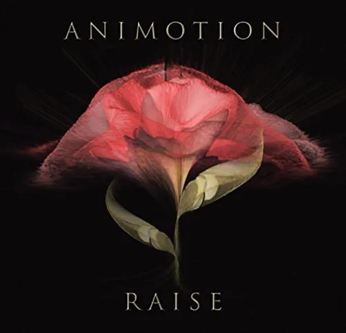 Official album cover art for the release Raise Your Expectations by Animotion