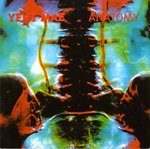 Official album cover art for the release Anatomy by Yeht Mae