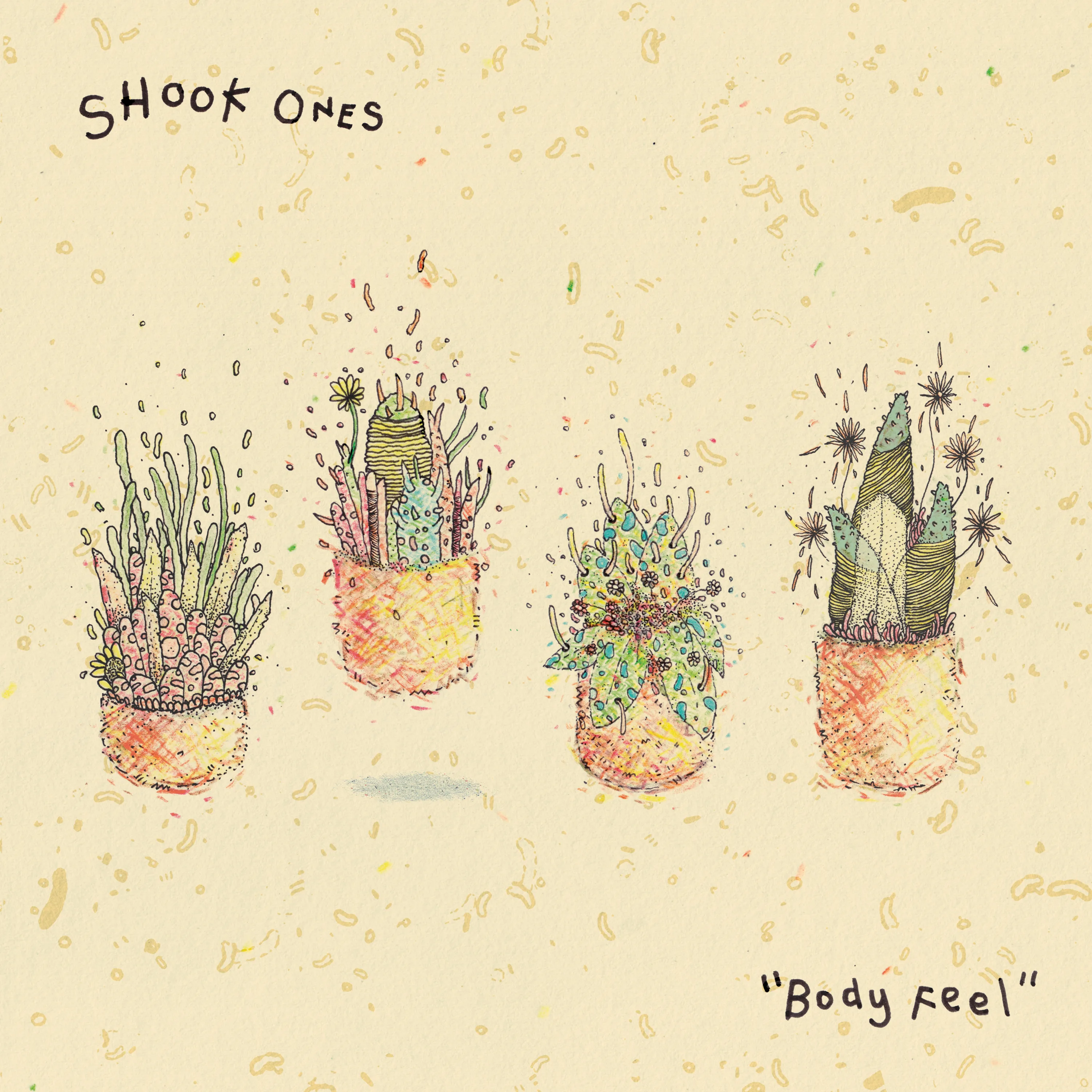Official album cover art for the release Body Feel by Shook Ones