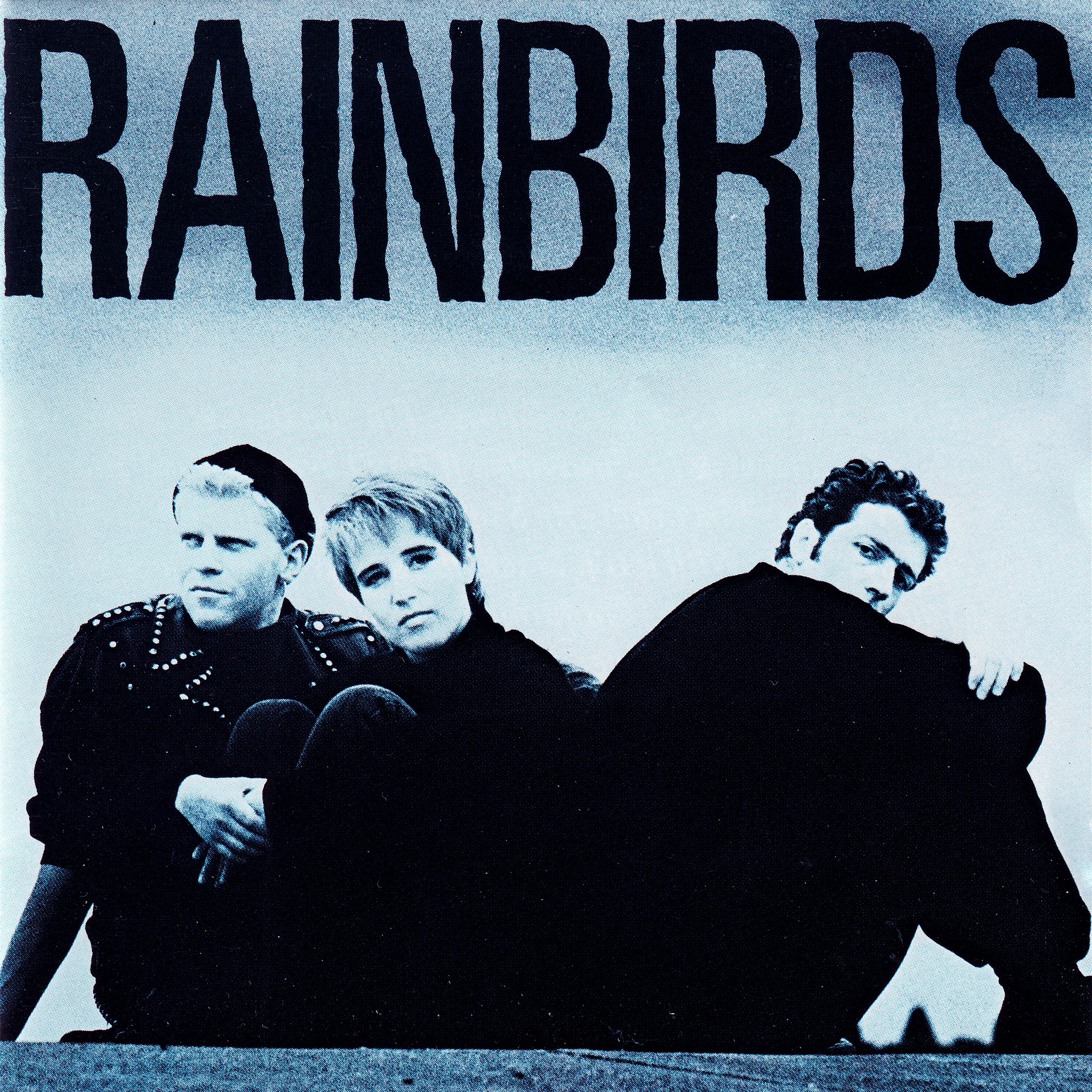 Official album cover art for the release Rainbirds by Rainbirds