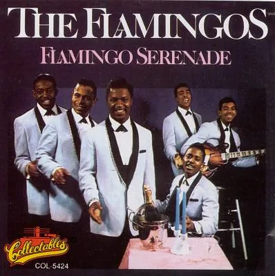 Flamingo Serenade