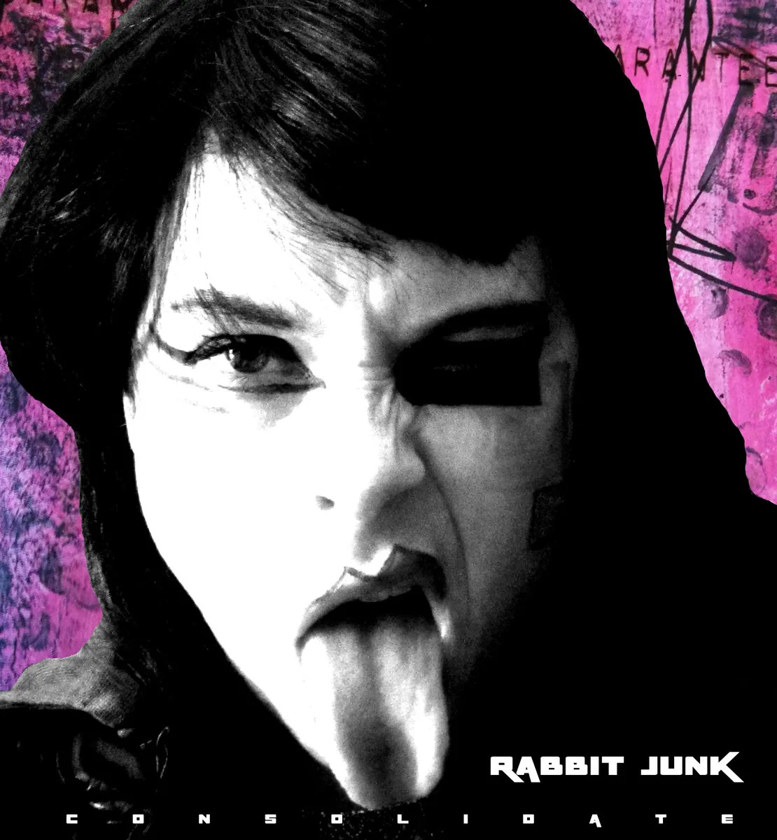 Official album cover artwork for Consolidate: A Retrospective Compilation (Beast, Invasion, and Pop that Pretty Thirty EP's 2014-2015) by Rabbit Junk