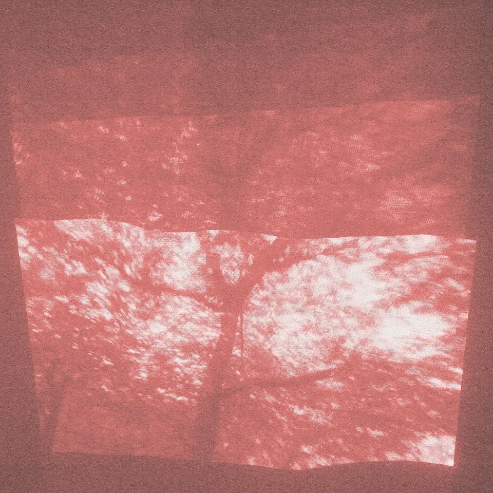 Official album cover artwork for Rösten 2 by SHXCXCHCXSH