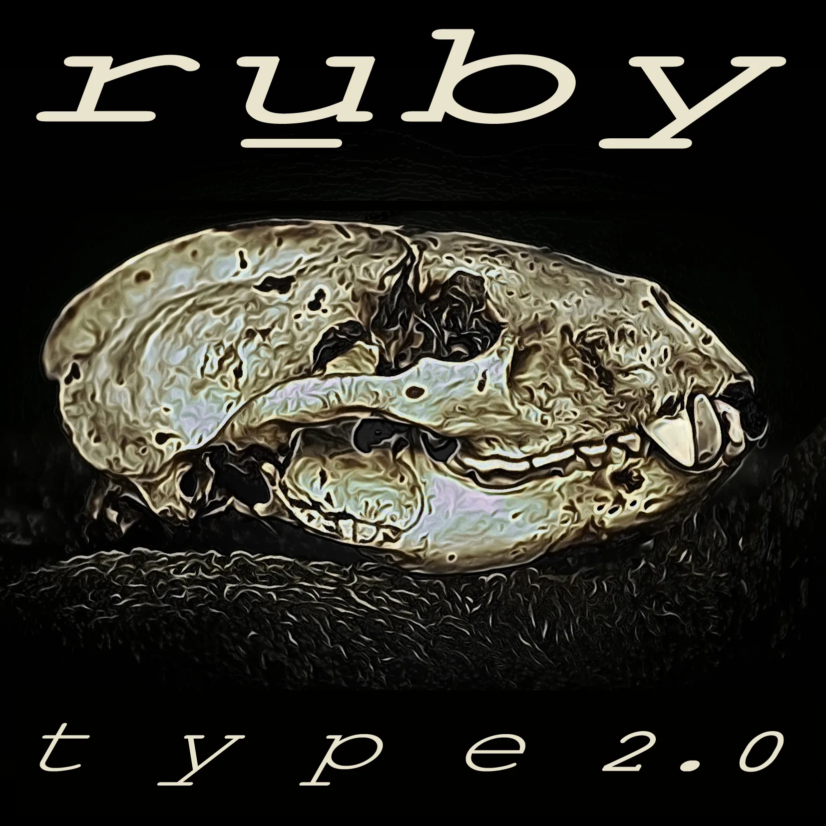 Type 2.0