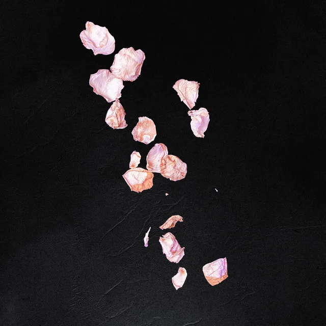Official album cover art for the release Stolen Youth by Outline in Color