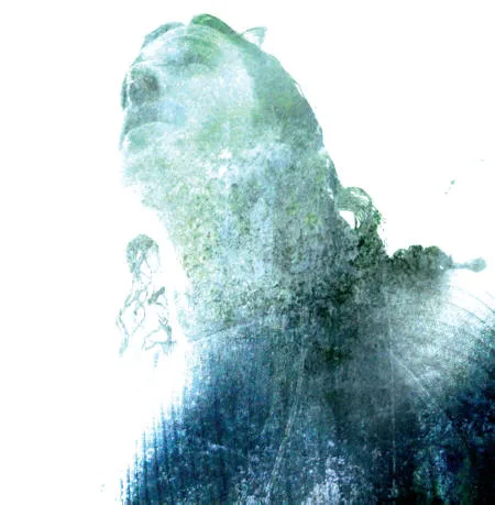 Official album cover art for the release Various Tracks by Asura