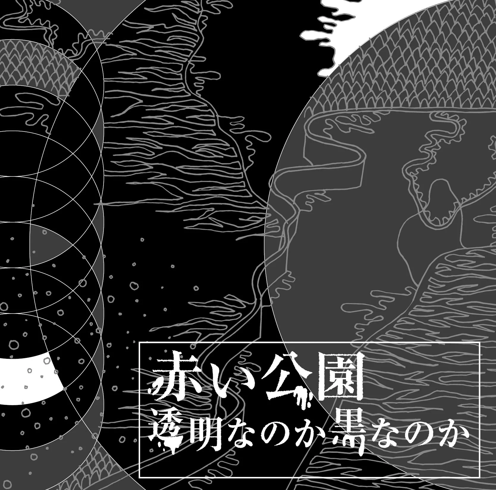 Official album cover art for the release 透明なのか黒なのか by 赤い公園