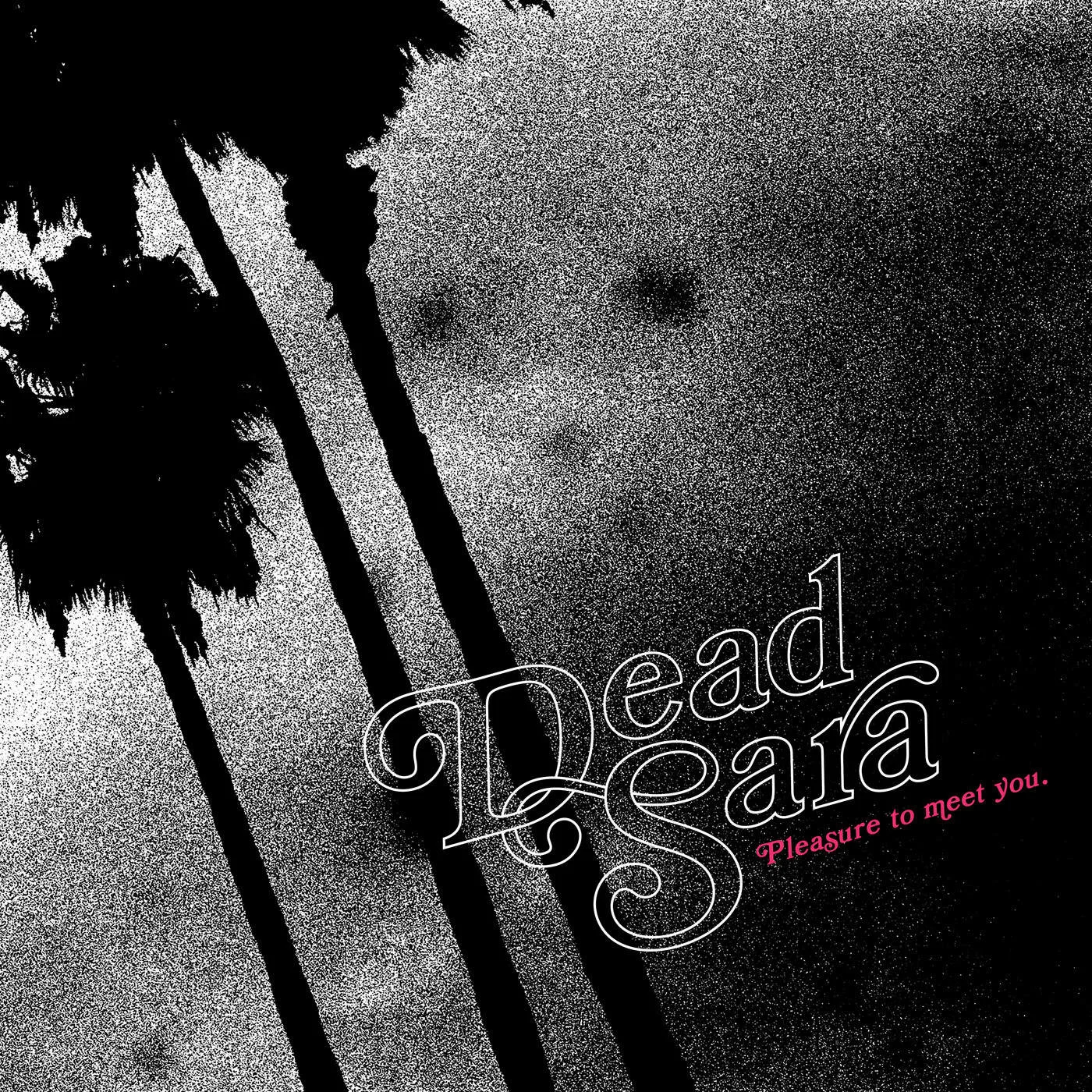 Official album cover art for the release Pleasure to Meet You by Dead Sara