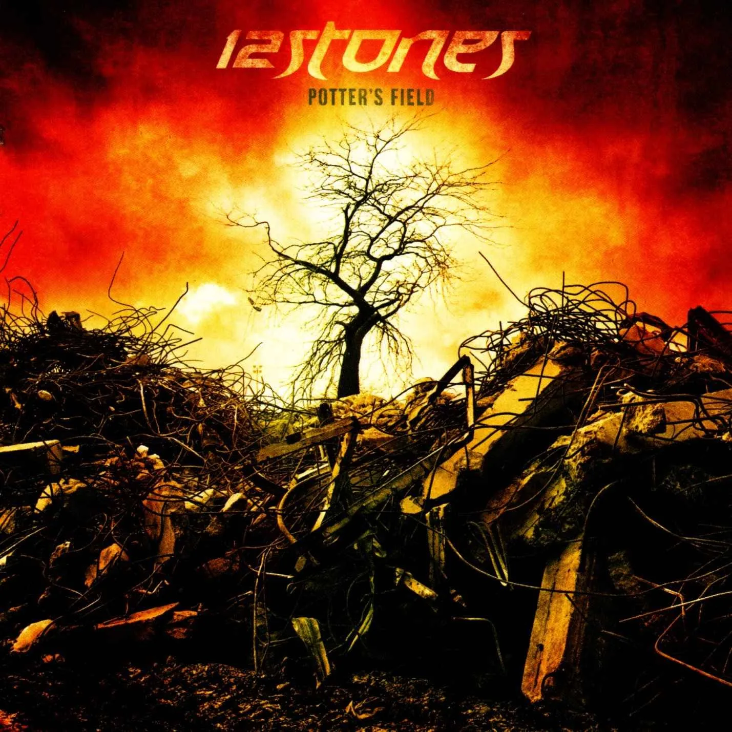 Official album cover art for the release Potter’s Field by 12 Stones