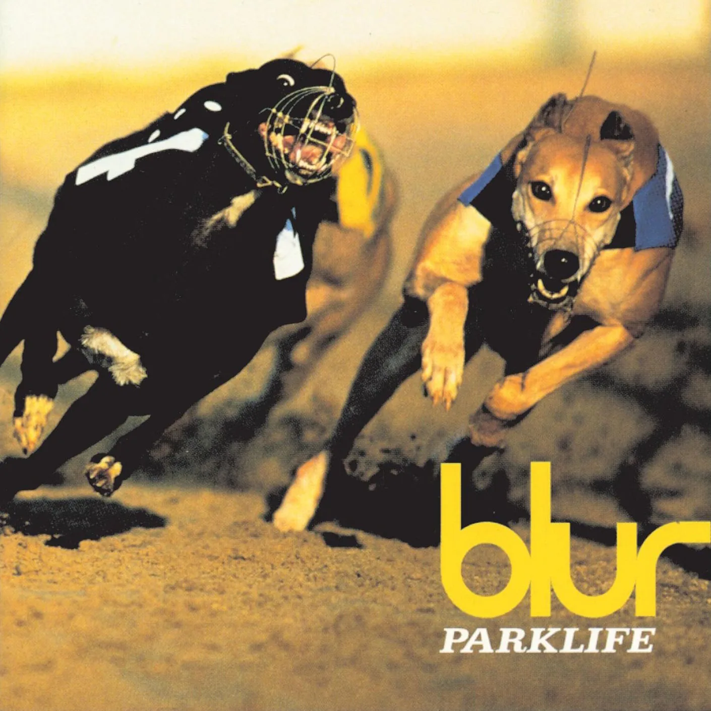 Album Art