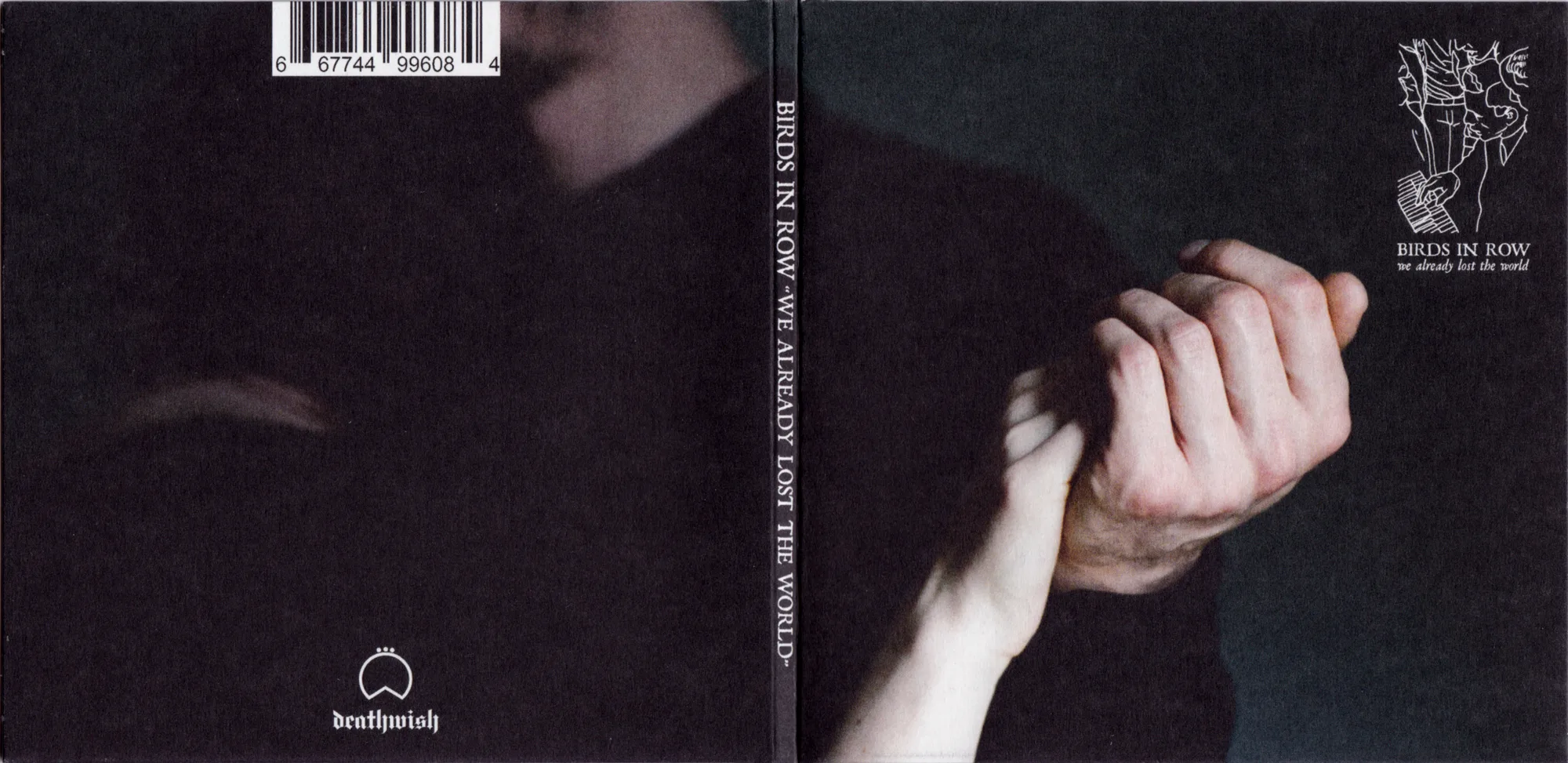 Official album cover art for the release We Already Lost the World by Birds in Row