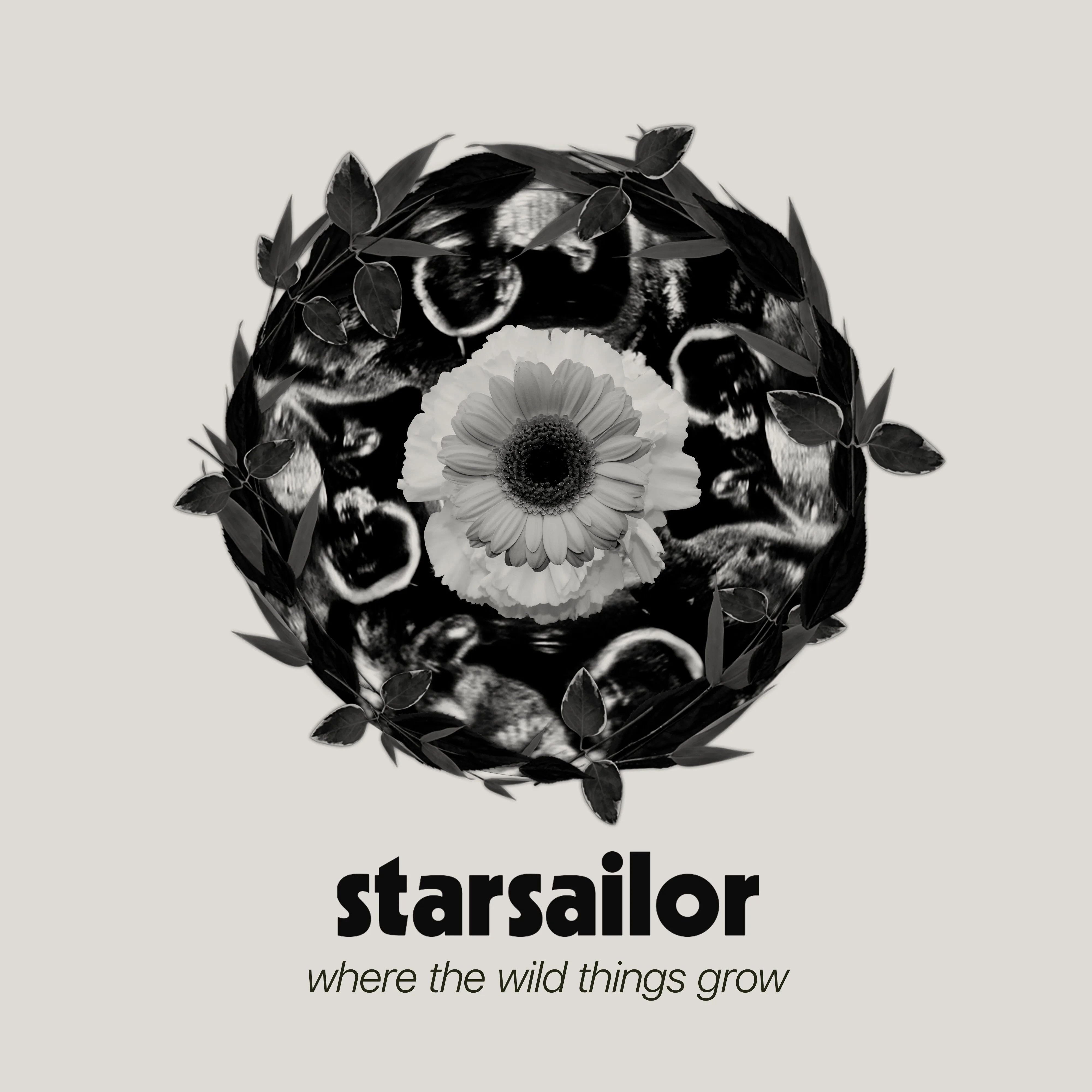 Official album cover art for the release Where the Wild Things Grow by Starsailor
