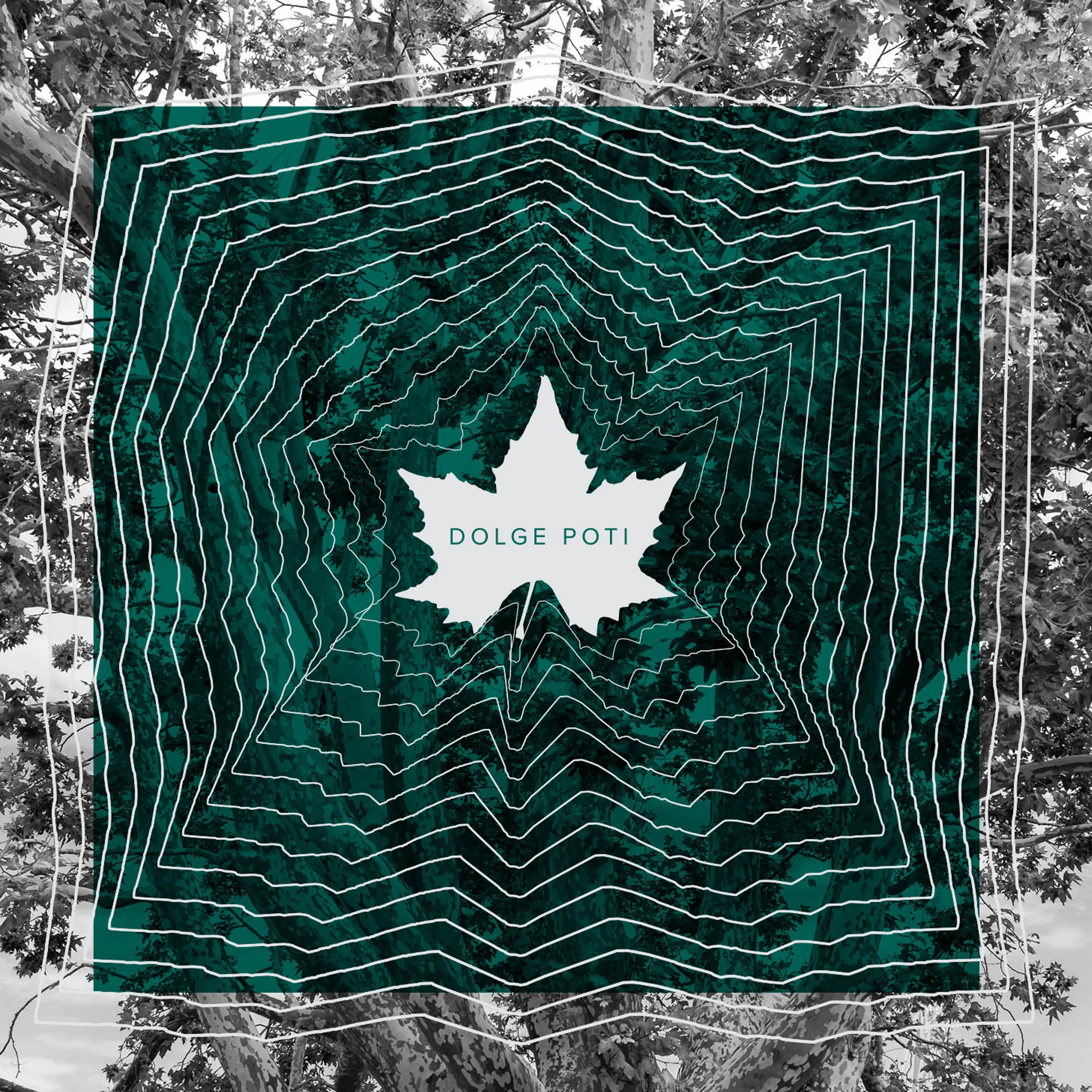 Official album cover art for the release Dolge poti by Platana