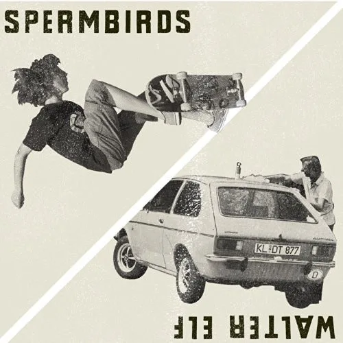 Official album cover art for the release Don't Forget the Fun by Spermbirds