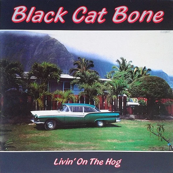 Official album cover art for the release Livin' on the Hog by Black Cat Bone