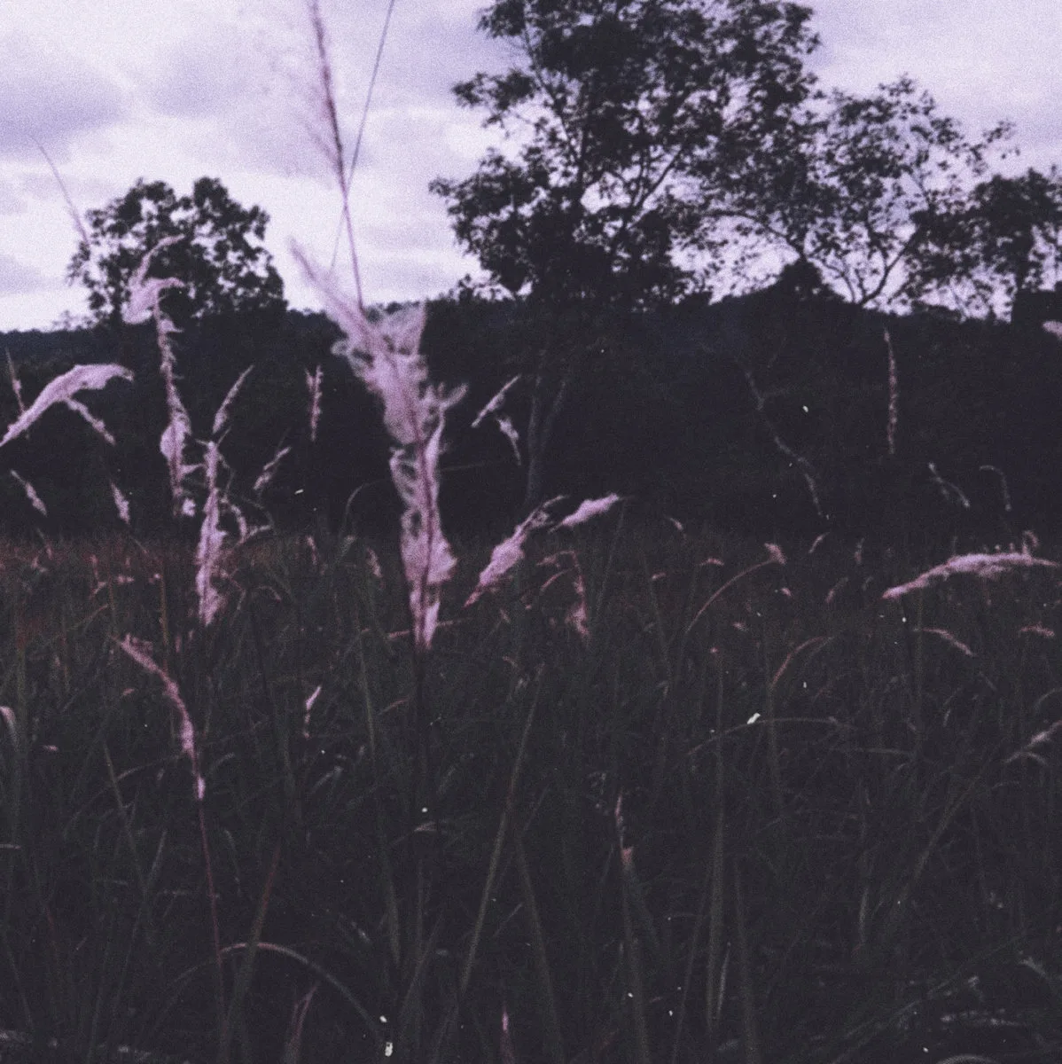 Official album cover art for the release Hope by Soulless