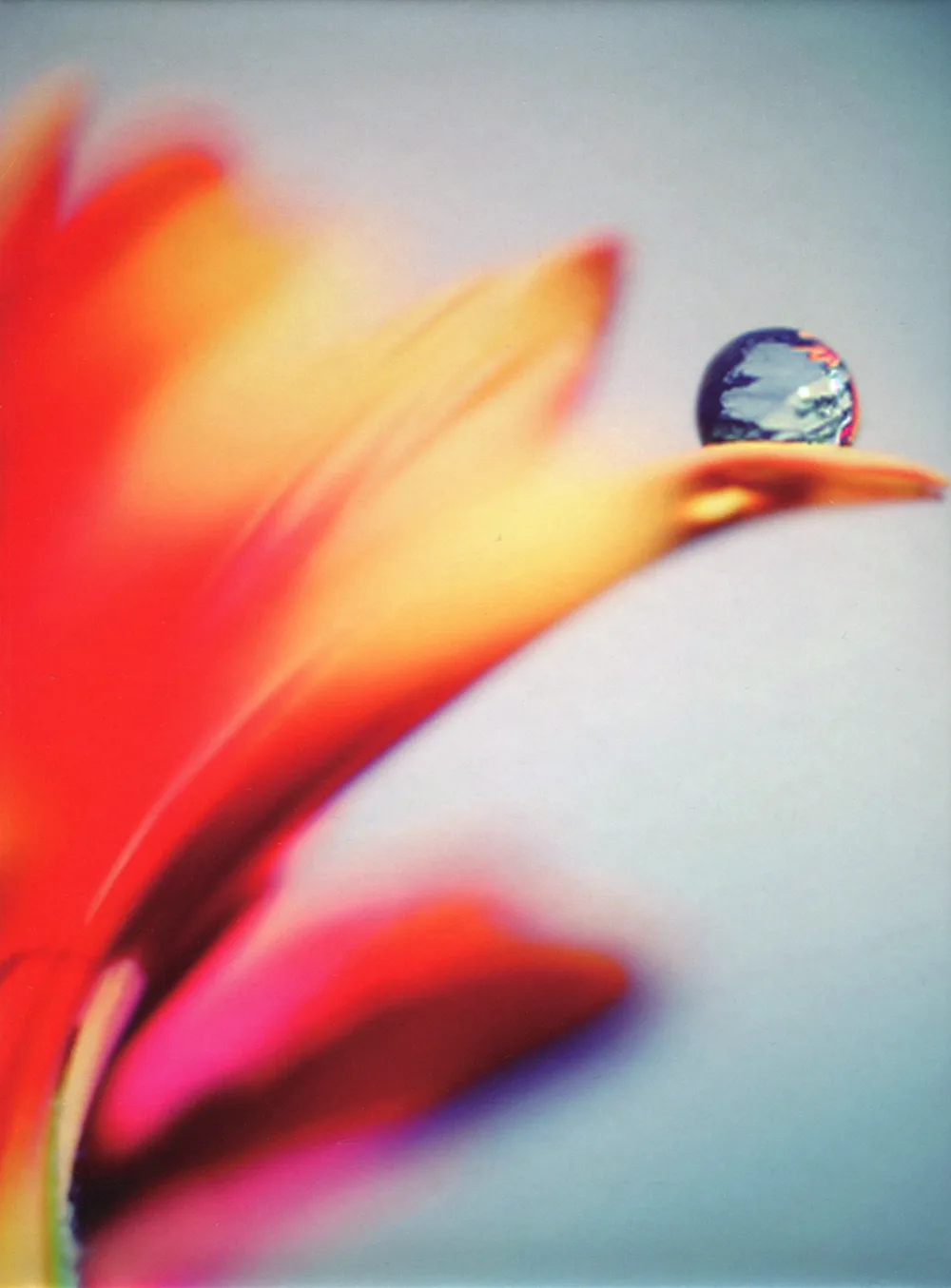Official album cover art for the release Falling by SADS