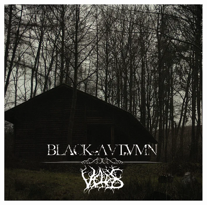 Official album cover art for the release Black Autumn / Veldes by Black Autumn