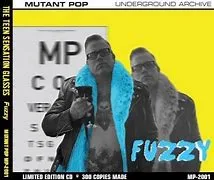 Official album cover art for the release Fuzzy by The Teen Sensation Glasses