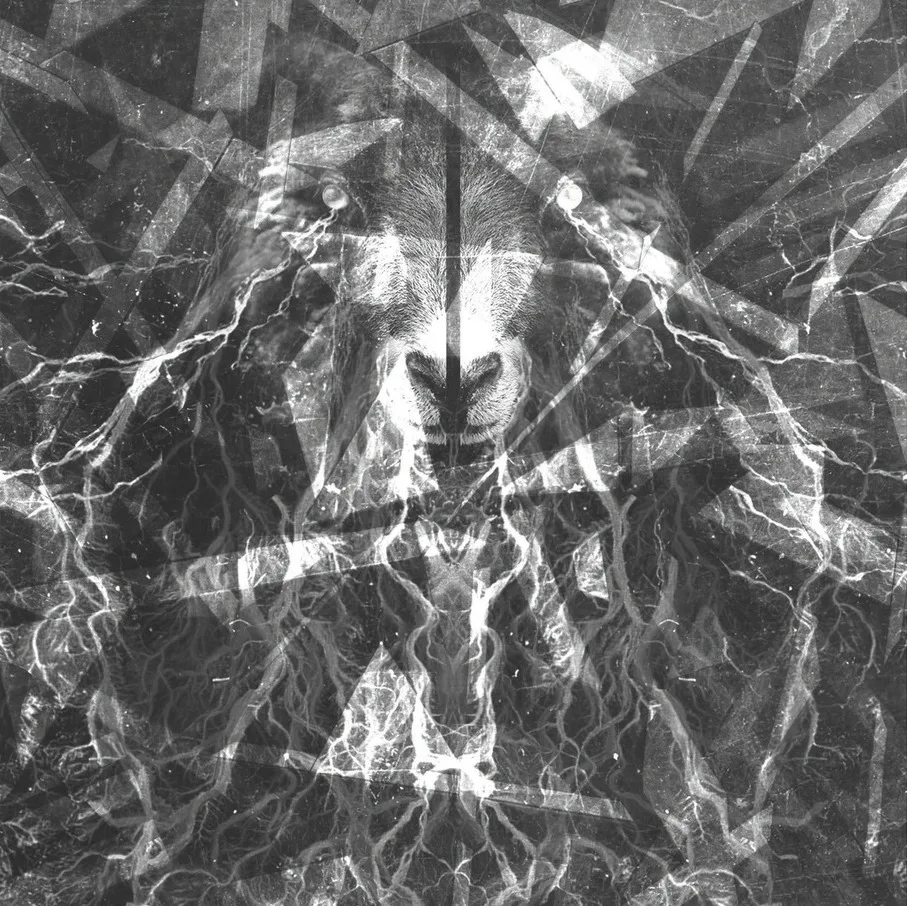 Official album cover art for the release Black Vice / Khringe by Black Vice