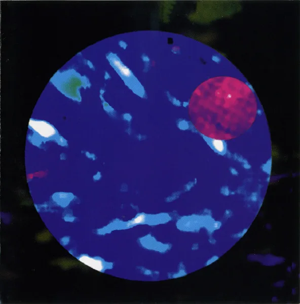 Official album cover art for the release Silence I + II by Silence