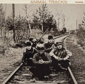 Animal Tracks