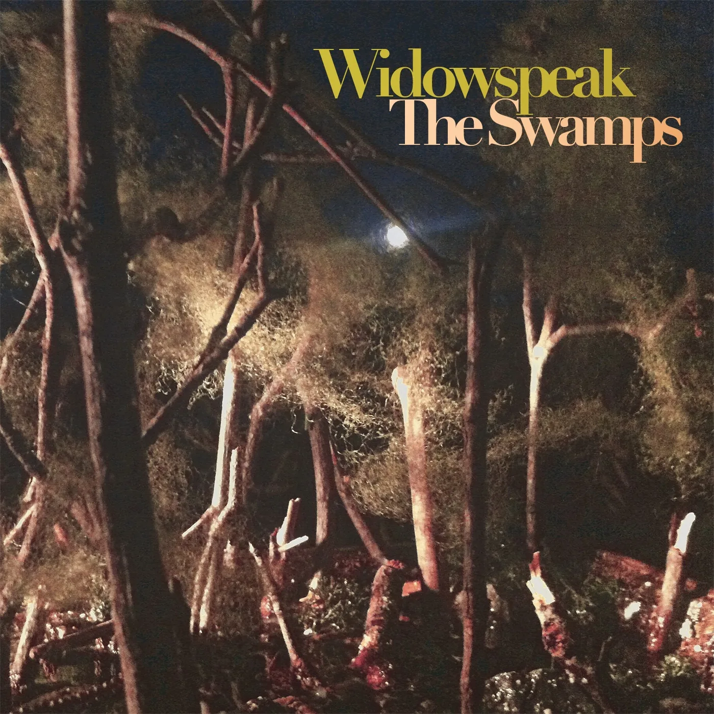 Official album cover art for the release The Swamps by Widowspeak