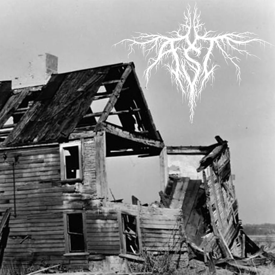 Official album cover art for the release Ast by Ast
