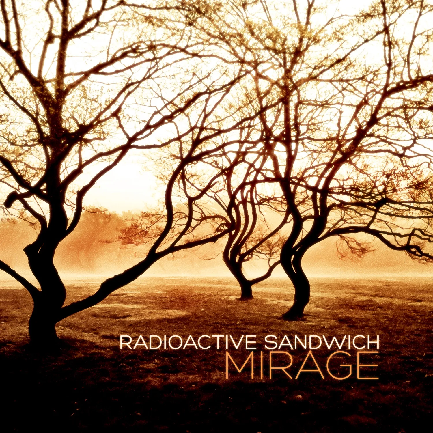 Official album cover art for the release Mirage by Radioactive Sandwich