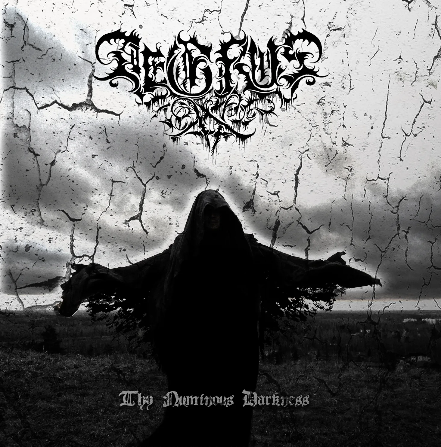 Official album cover artwork for Thy Numinous Darkness by Aegrus