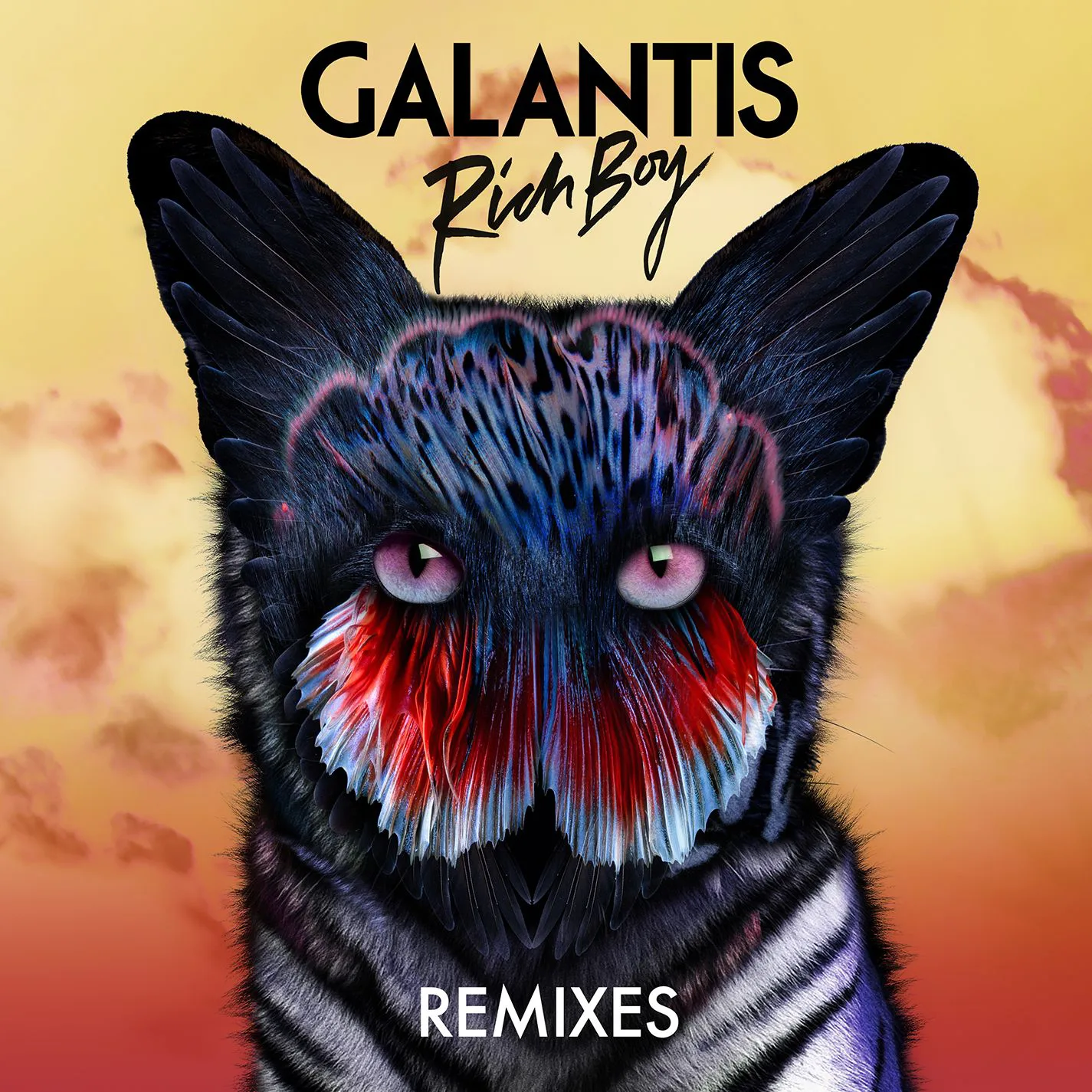 Official album cover art for the release Rich Boy (Remixes) by Galantis