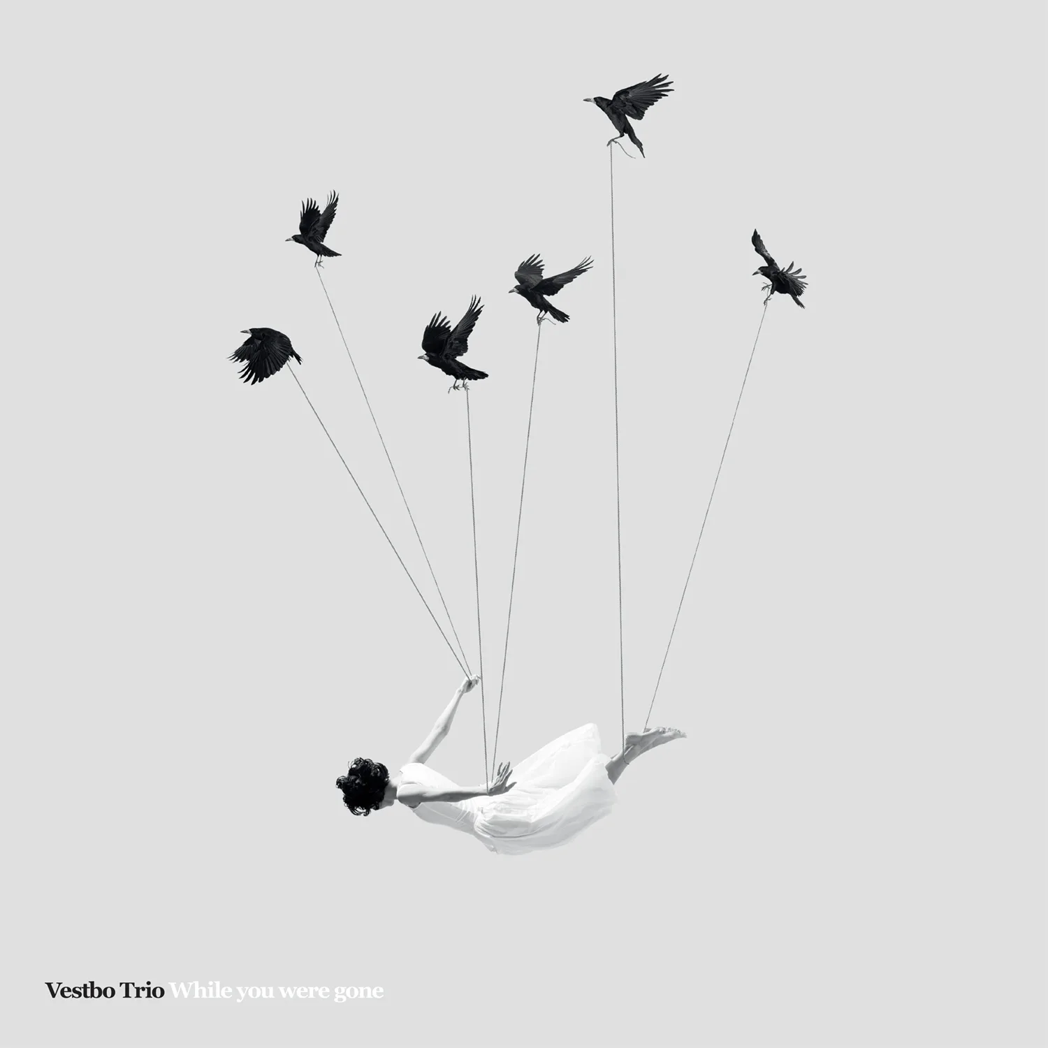 Official album cover art for the release While You Were Gone by Vestbo Trio