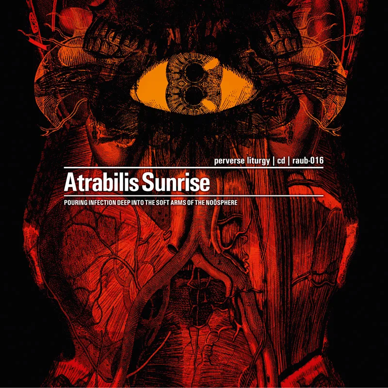 Official album cover art for the release Perverse Liturgy: Pouring Infection Deep Into the Soft Arms of the Noösphere by Atrabilis Sunrise