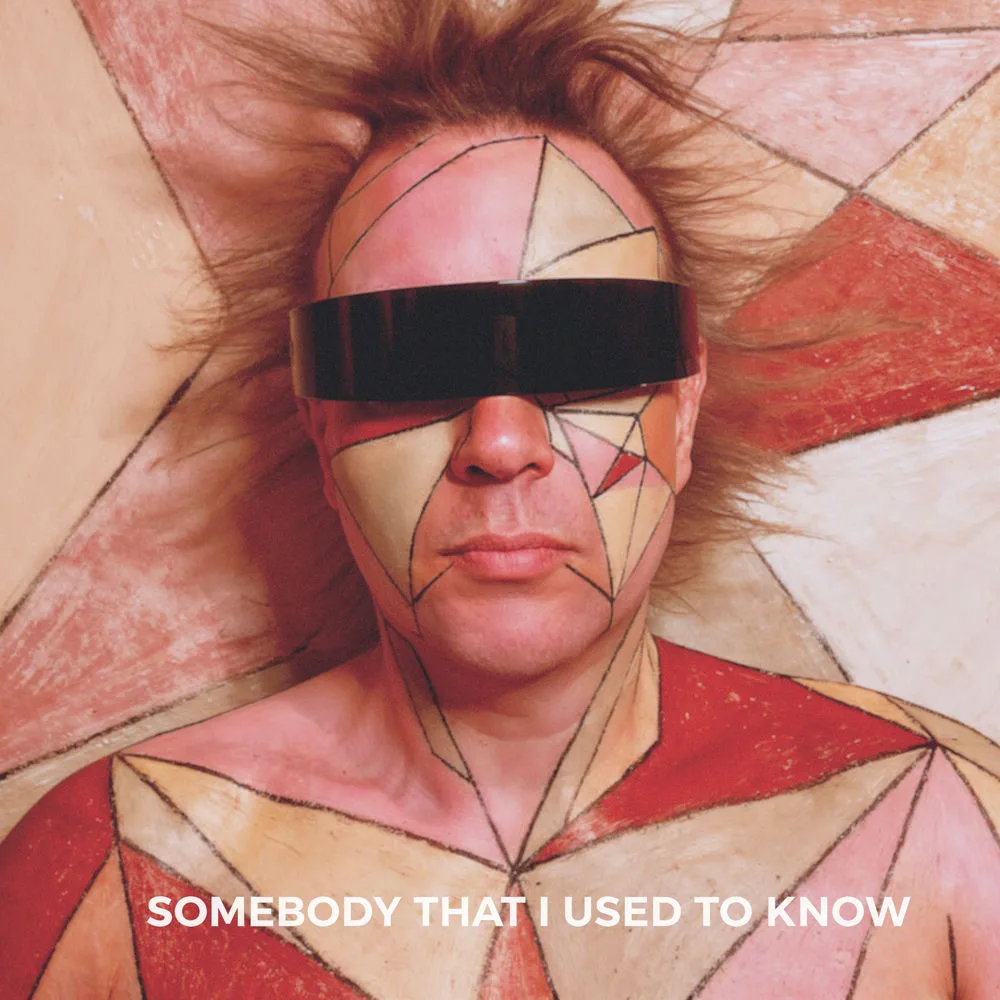 Official album cover artwork for Somebody That I Used To Know by The Young Punx