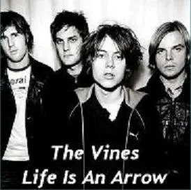 Official album cover art for the release Life Is An Arrow by The Vines