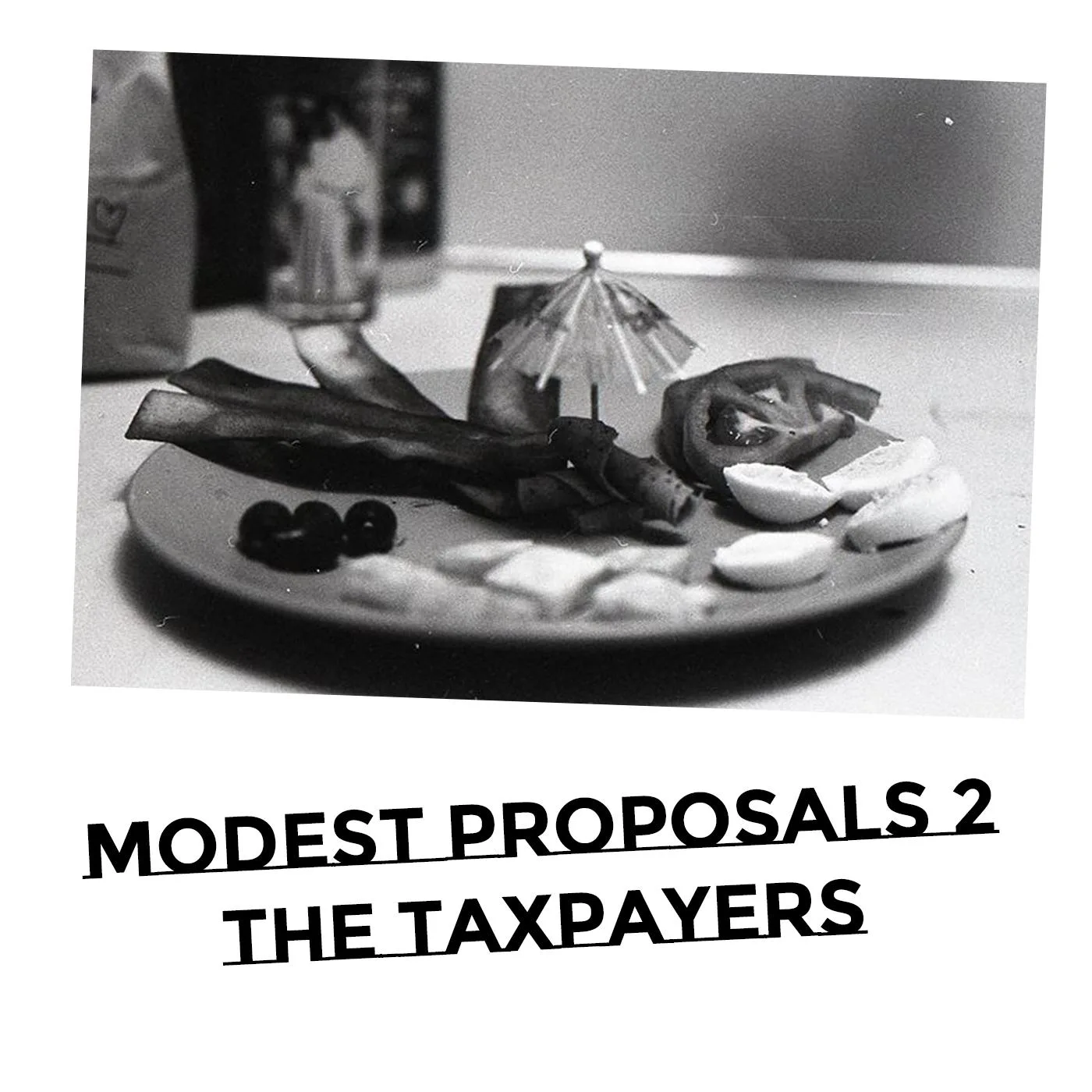 Official album cover art for the release Modest Proposals 2 by The Taxpayers