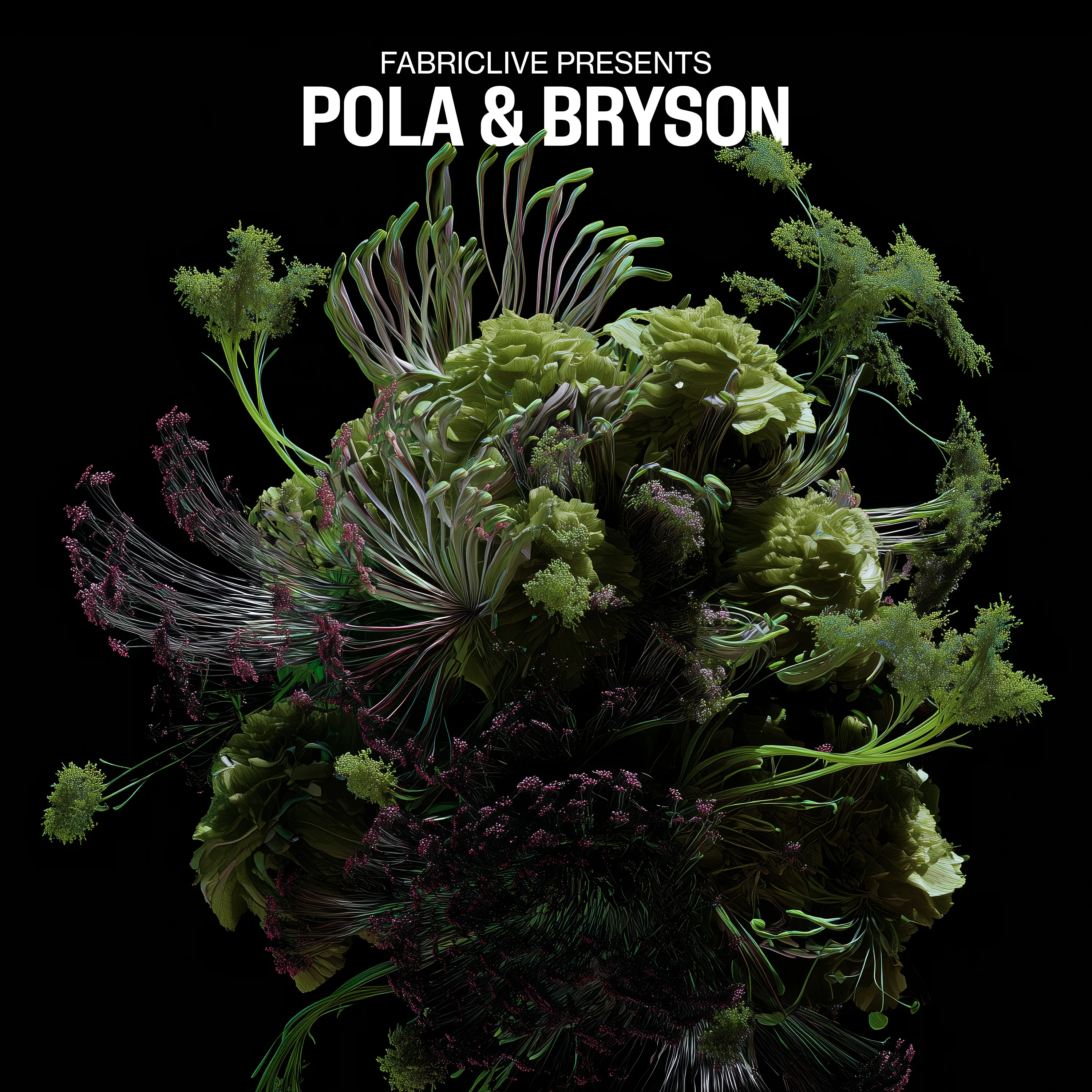 Fabriclive Presents Pola & Bryson