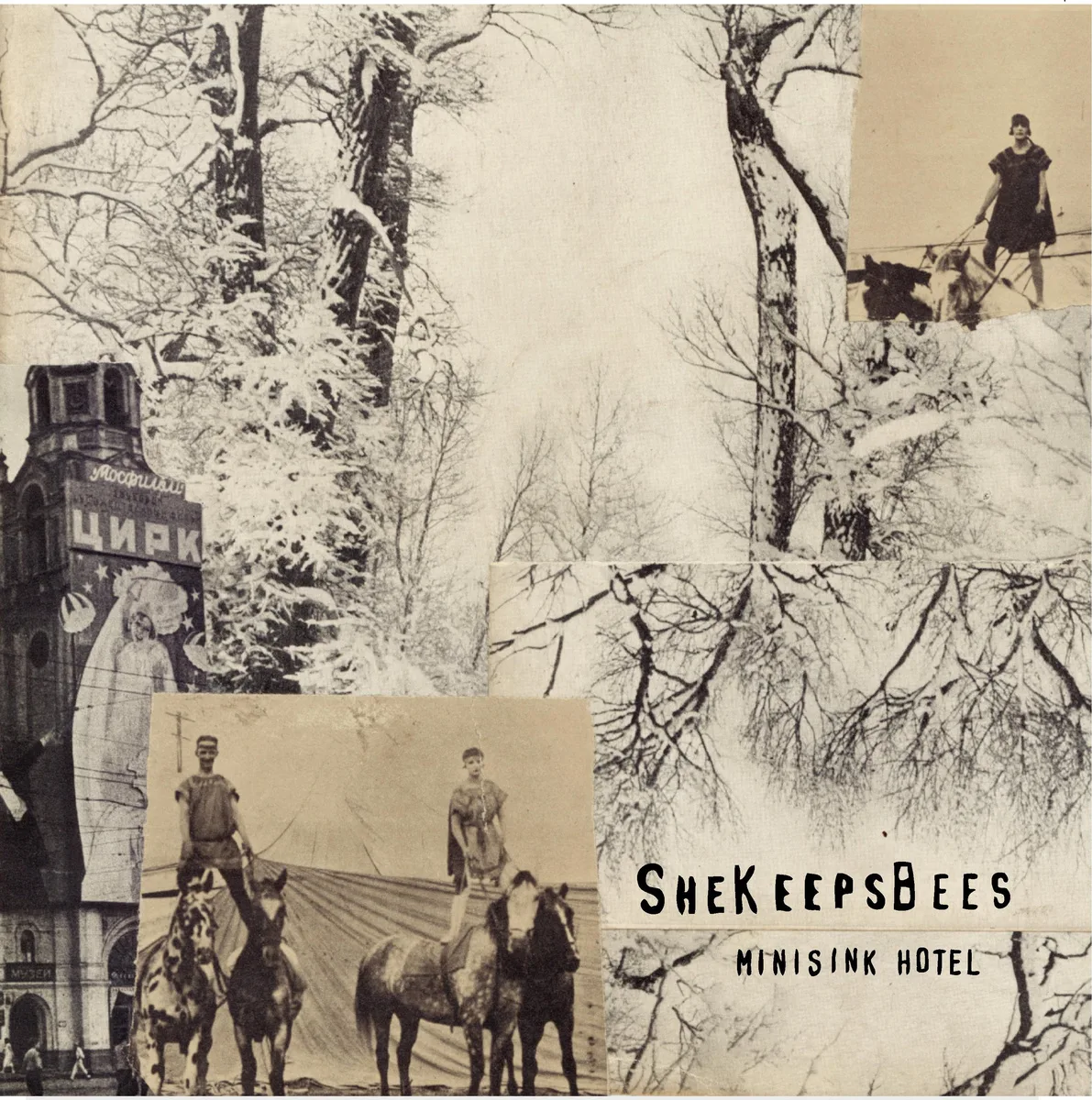 Official album cover art for the release Minisink Hotel by She Keeps Bees