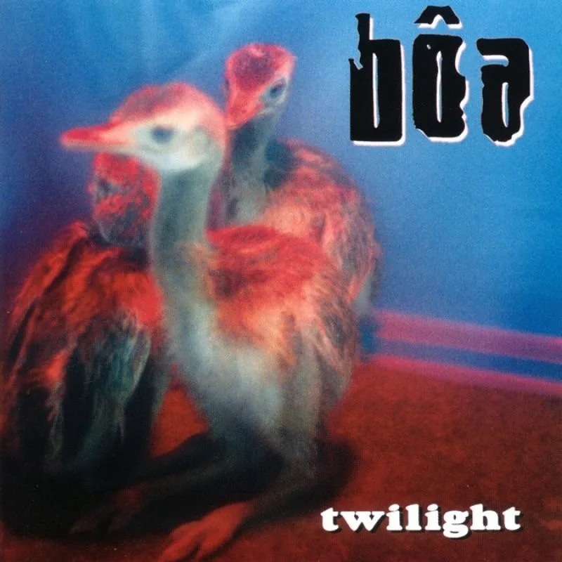 Official album cover art for the release Twilight by bôa