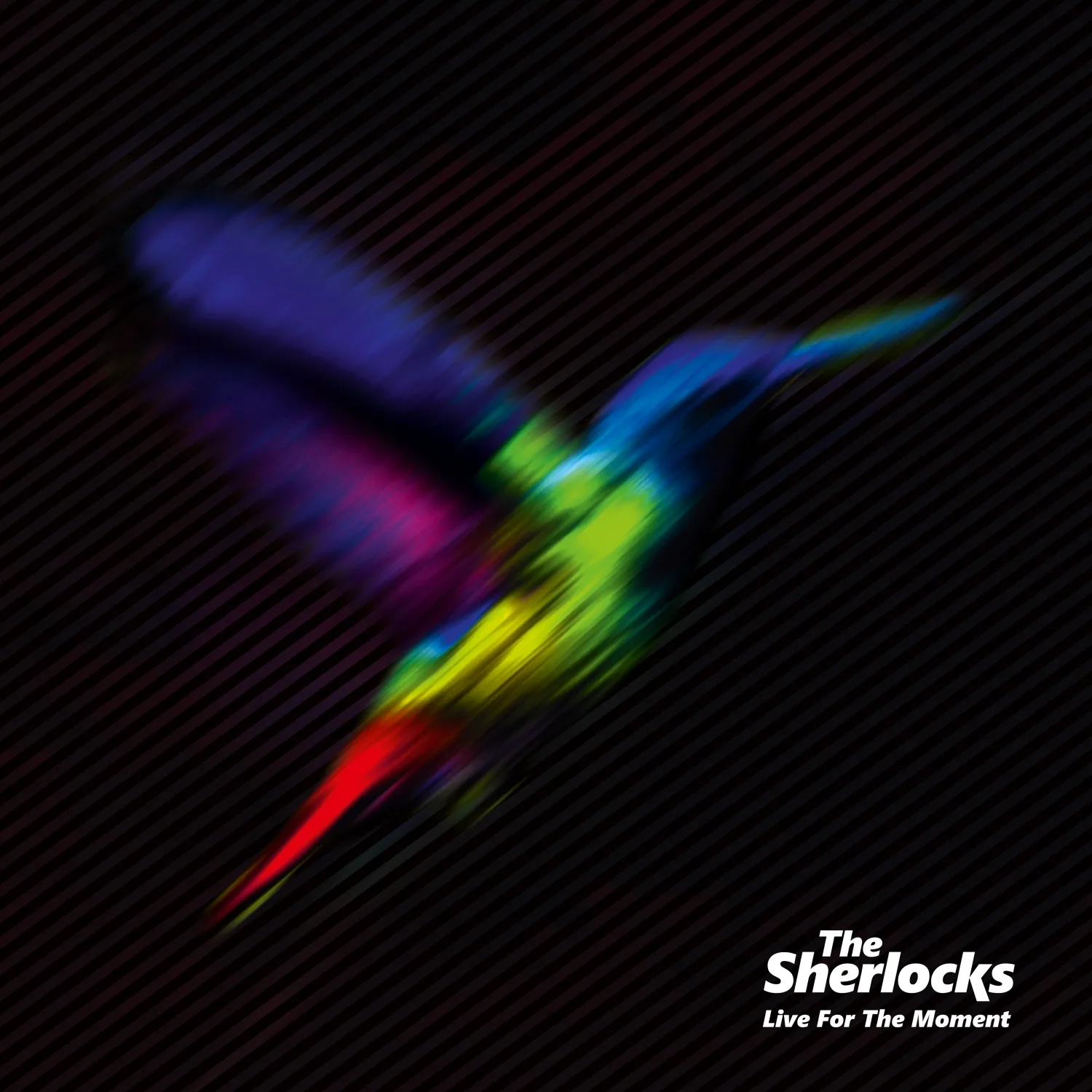 Official album cover artwork for Live for the Moment by The Sherlocks