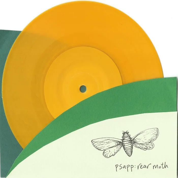 Official album cover art for the release Rear Moth by Psapp