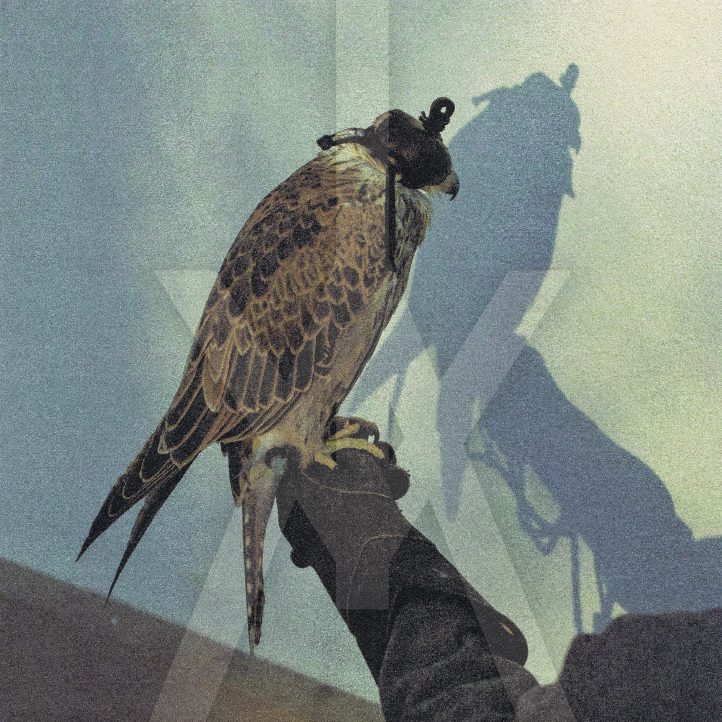 Official album cover art for the release You’re Nothing by Iceage