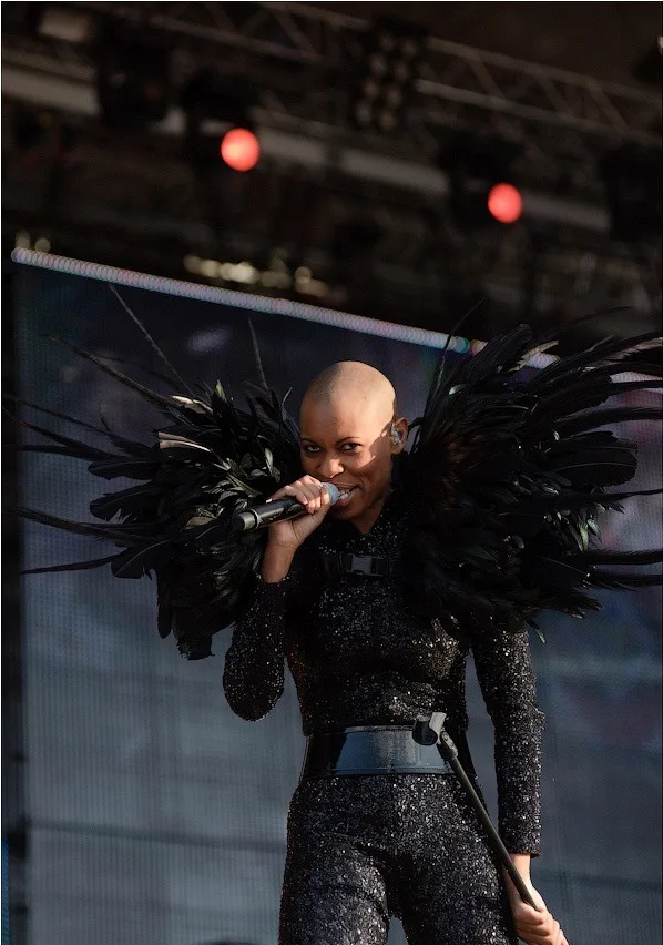 Skunk Anansie