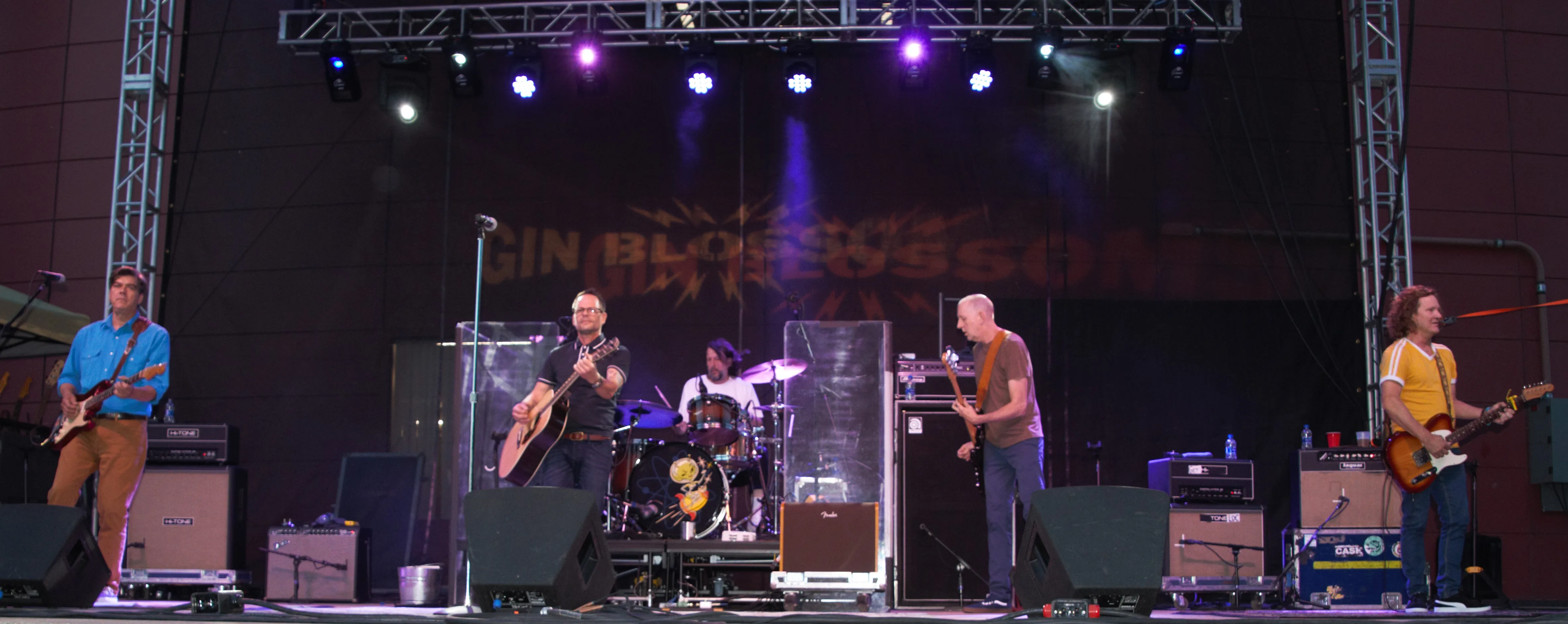 Gin Blossoms