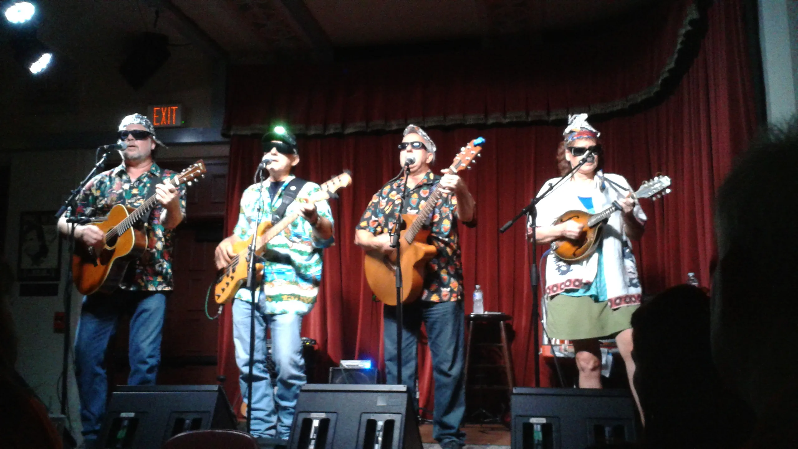 Austin Lounge Lizards