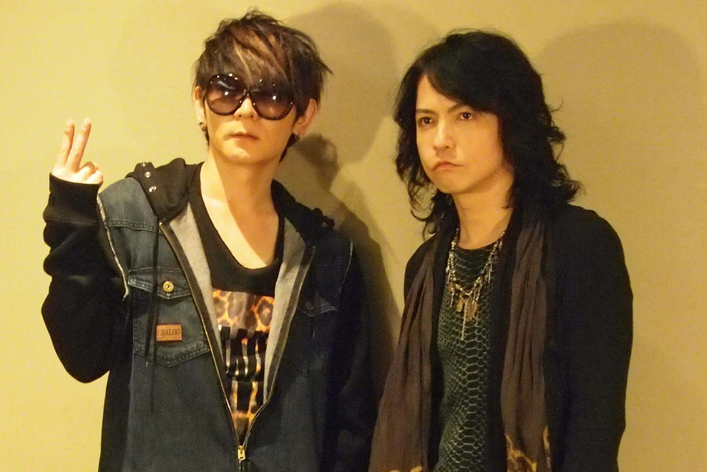 VAMPS
