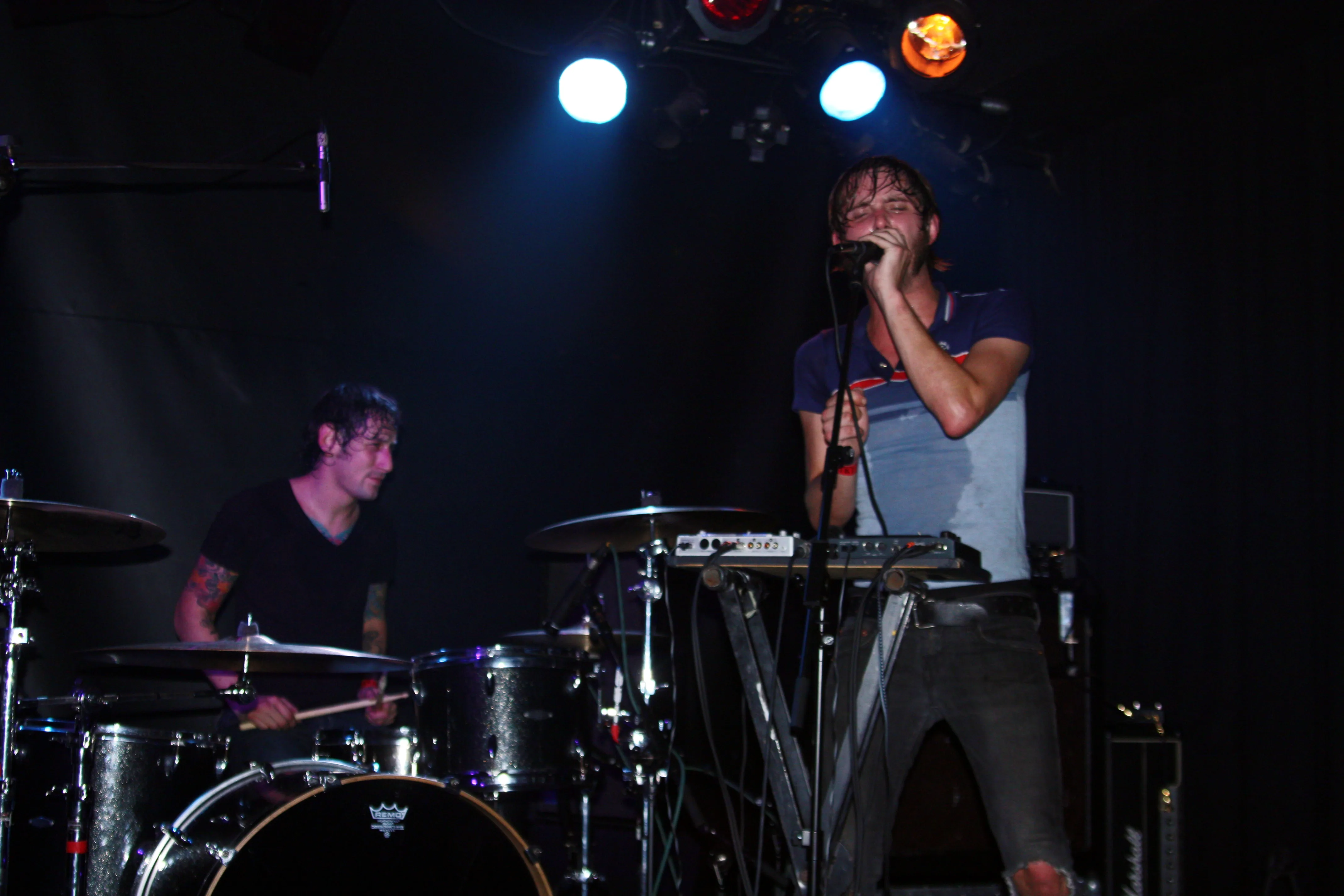 These Arms Are Snakes